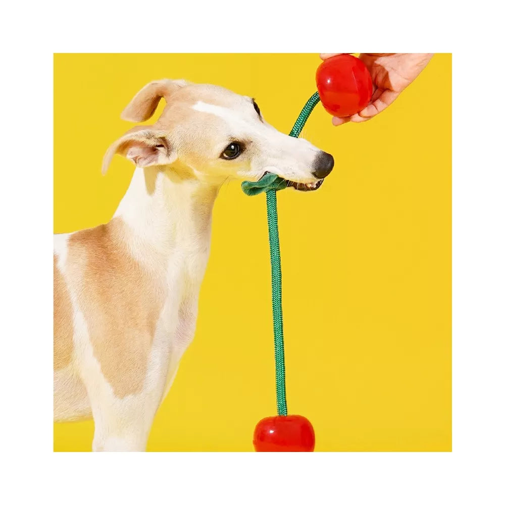 Cherry Shaped Silicone Rope Combined Pet Chewing Toy