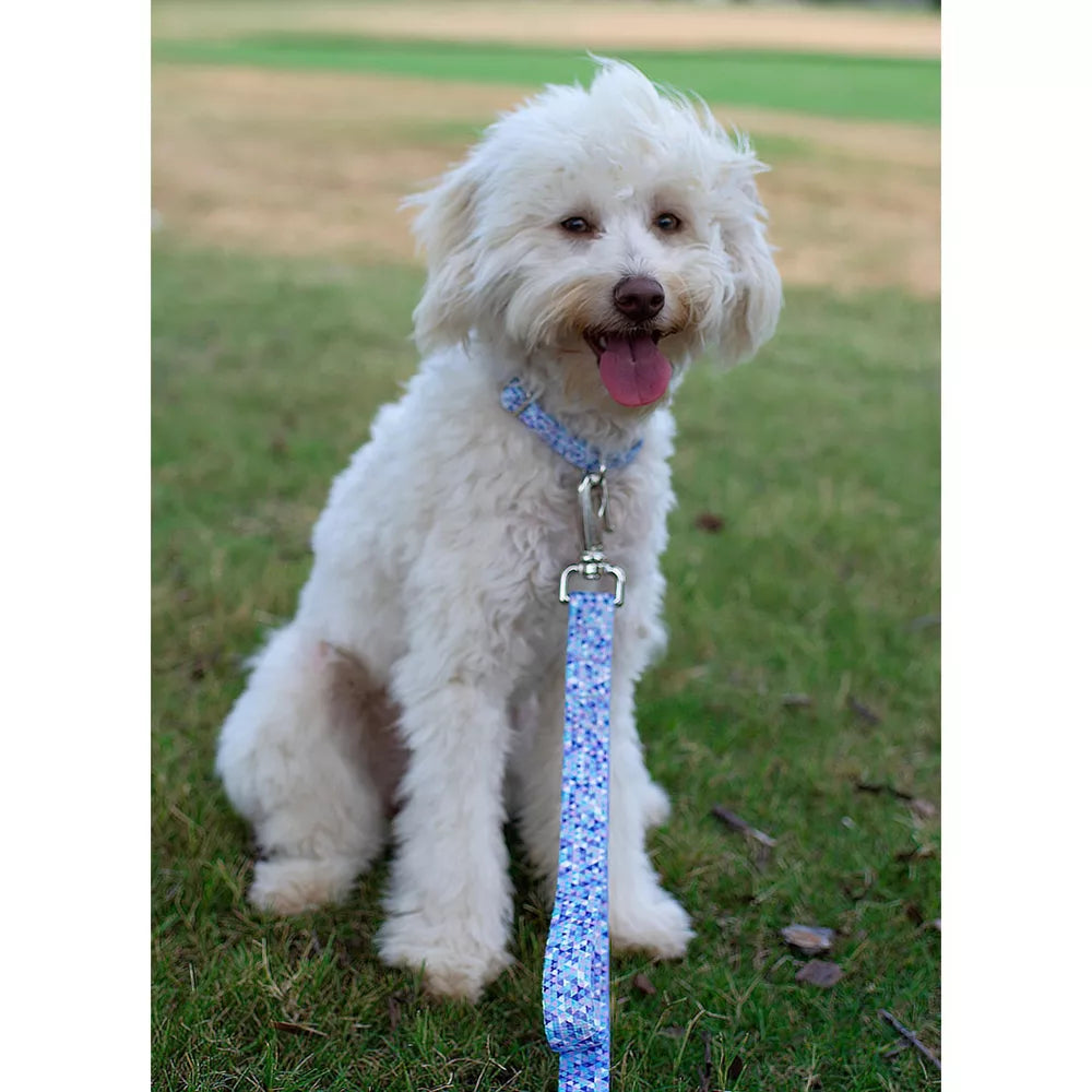 Geometric Printed Martingale Adjustable Medium Dog Collar